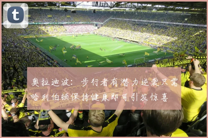 奥拉迪波：步行者有潜力逆袭只需哈利伯顿保持健康即可引发惊喜