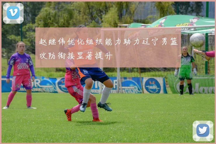 赵继伟优化组织能力助力辽宁男篮攻防衔接显著提升